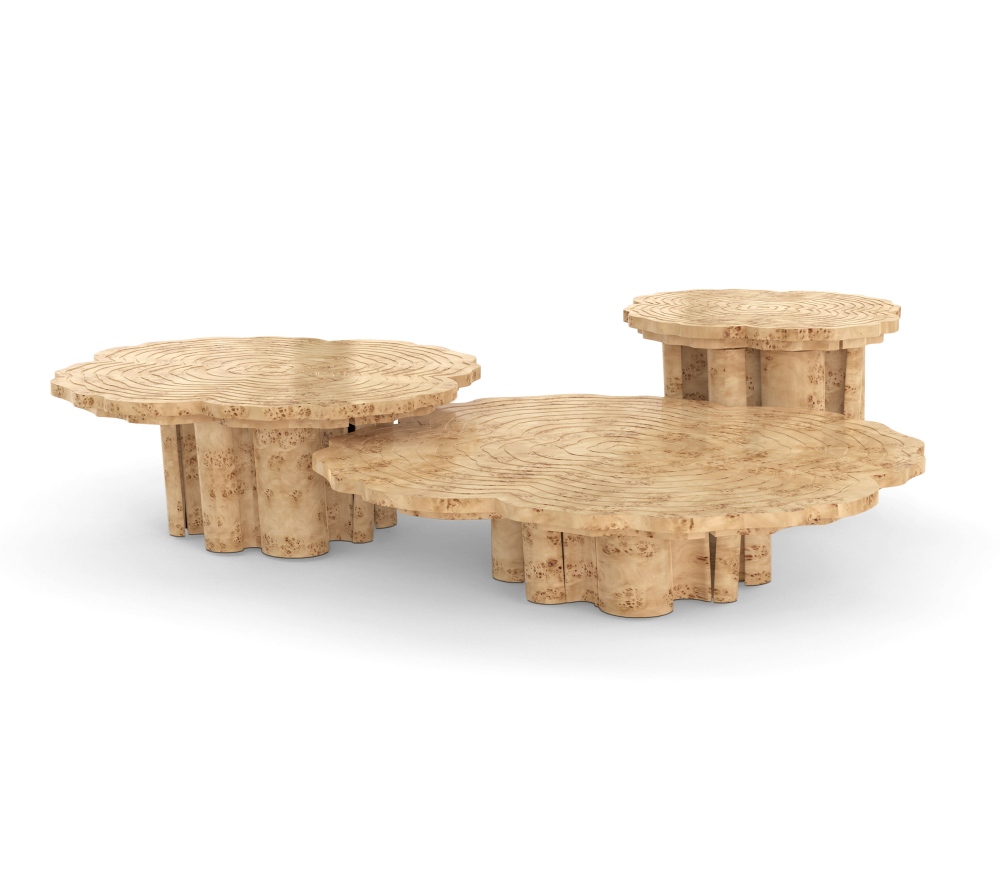 FORTUNA POPLAR ROOT CENTER TABLE